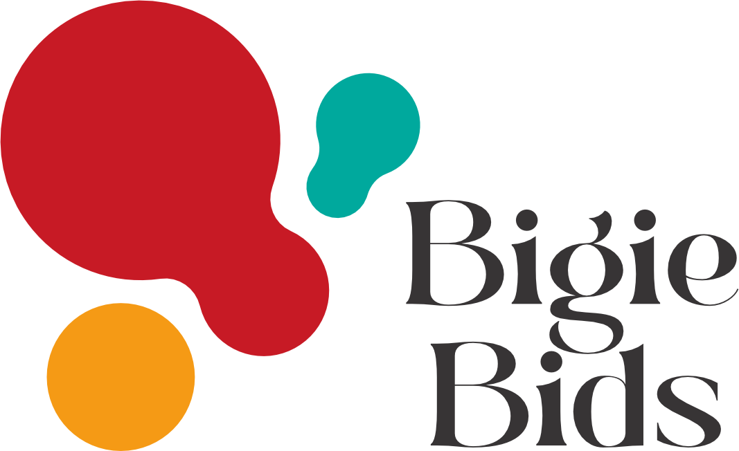 BigieBids Ltd